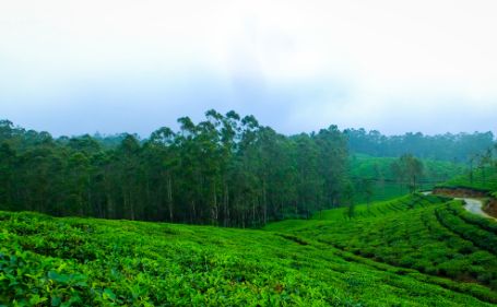 Vagamon