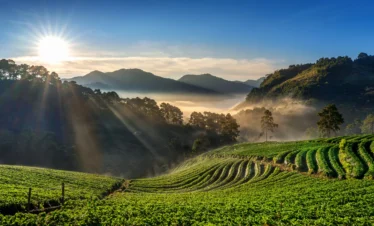 SSK Holidays - Munnar Packages