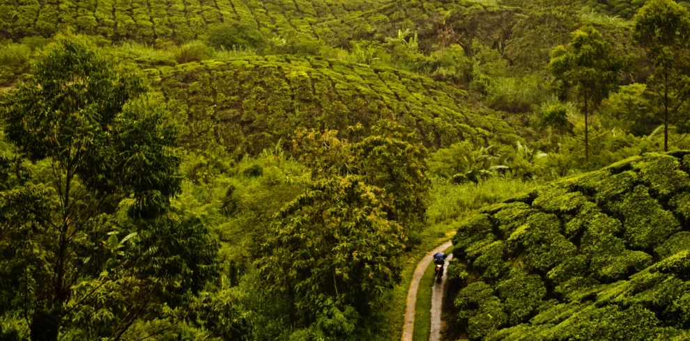 SSK-Holidays-Wayanad-Group-Packages