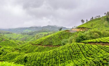SSK holidays wayanad group package