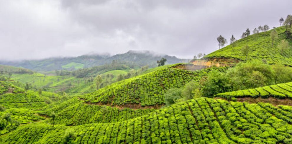 SSK holidays wayanad group package