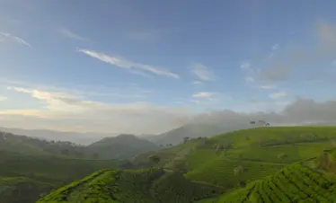 Ooty-Tour-Package-SSK-Holidays