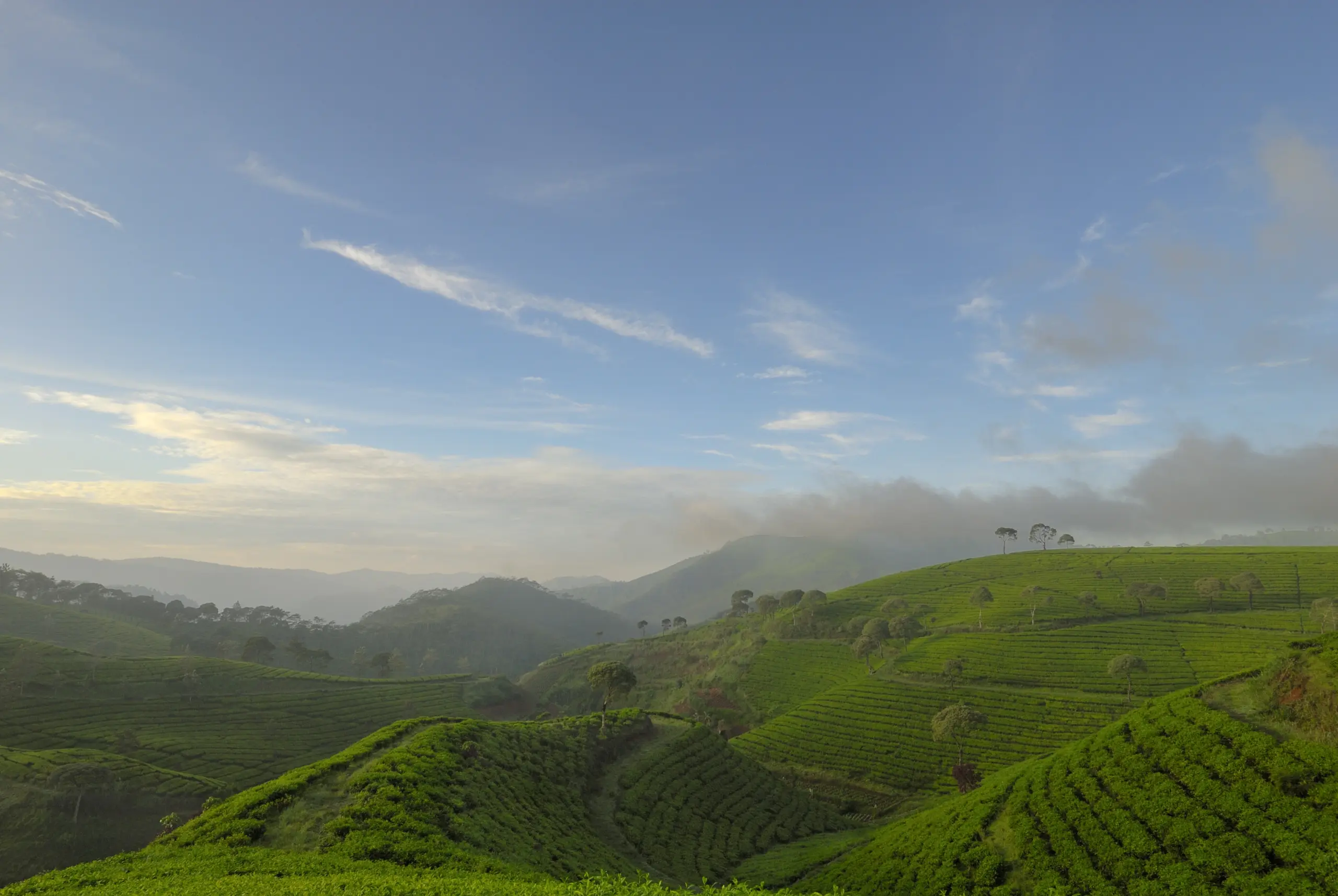 Ooty-Tour-Package-SSK-Holidays