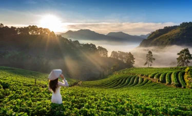 SSK-Holidays-Munnar-Packages