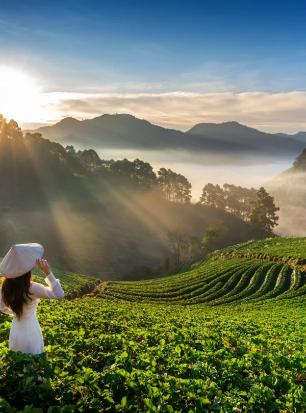 SSK-Holidays-Munnar-Packages