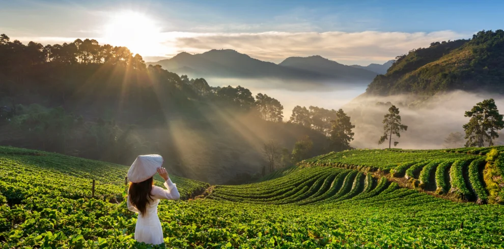 SSK-Holidays-Munnar-Packages