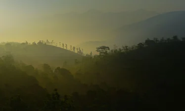 Vagamon Group Package 2