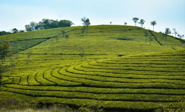 SSK Holidays - Vagamon Package