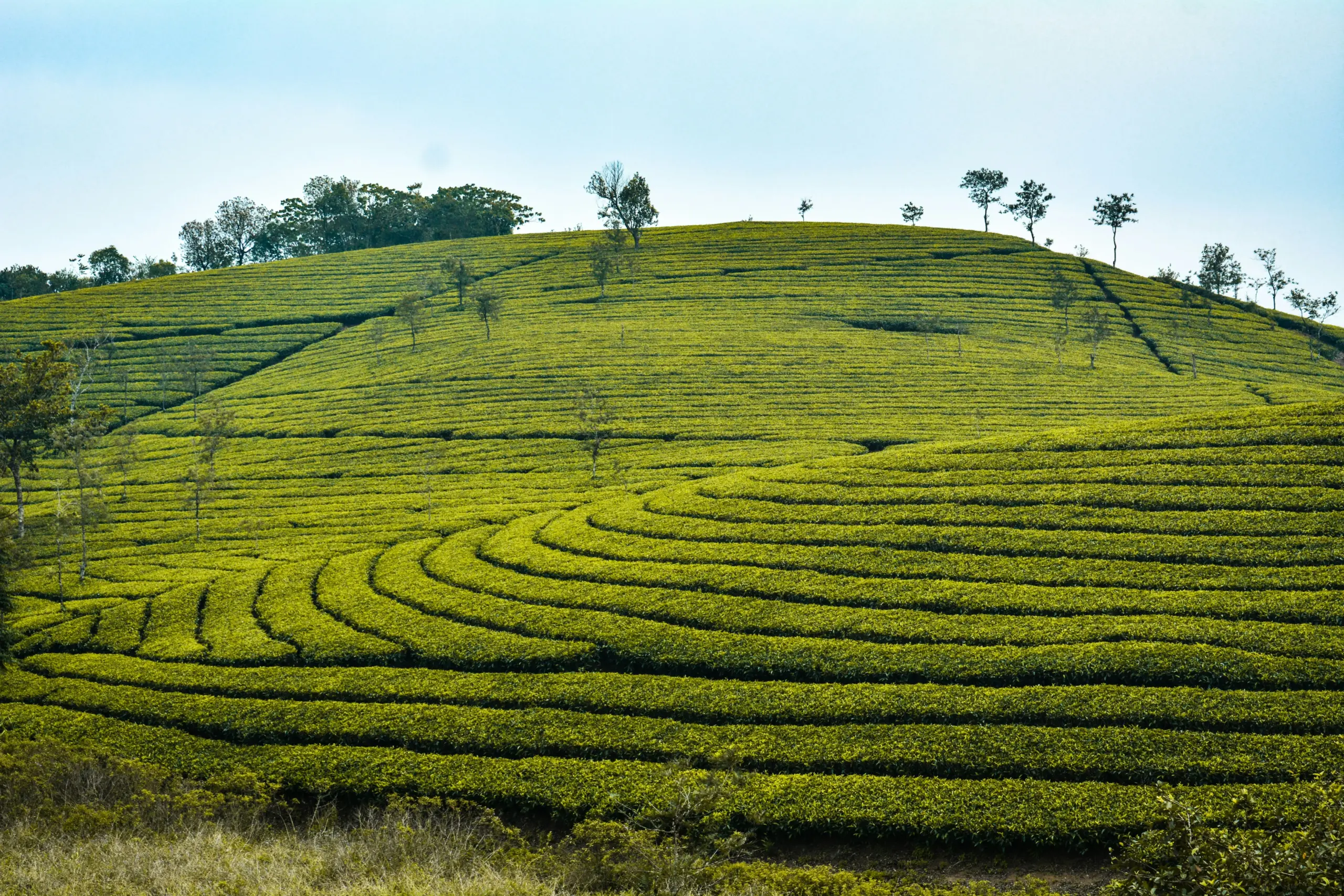 SSK Holidays - Vagamon Package