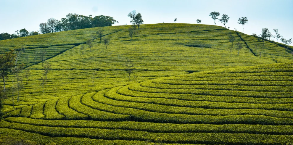 SSK Holidays - Vagamon Package