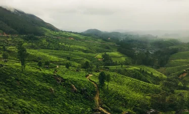 SSK Holidays - Vagamon Package
