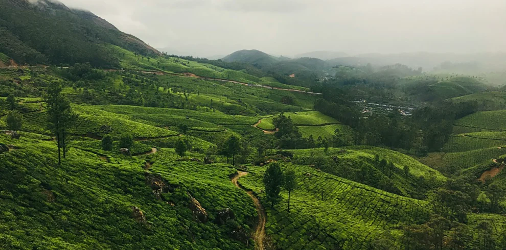 SSK Holidays - Vagamon Package