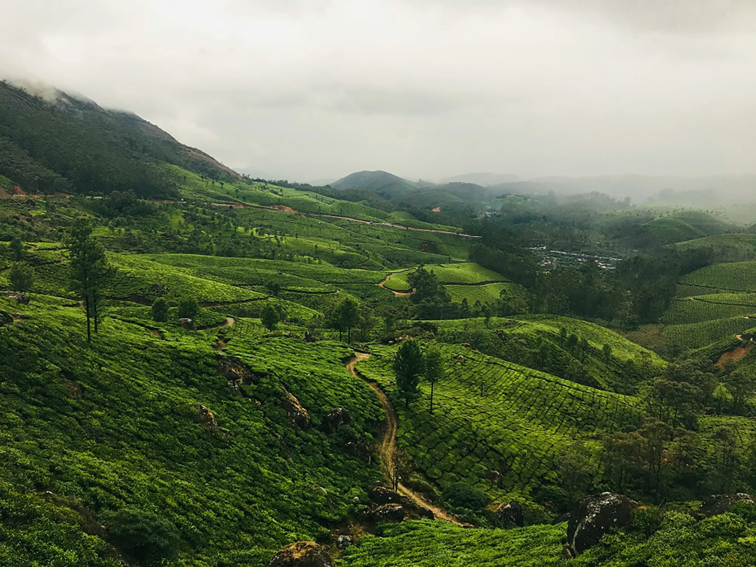 SSK Holidays - Vagamon Package