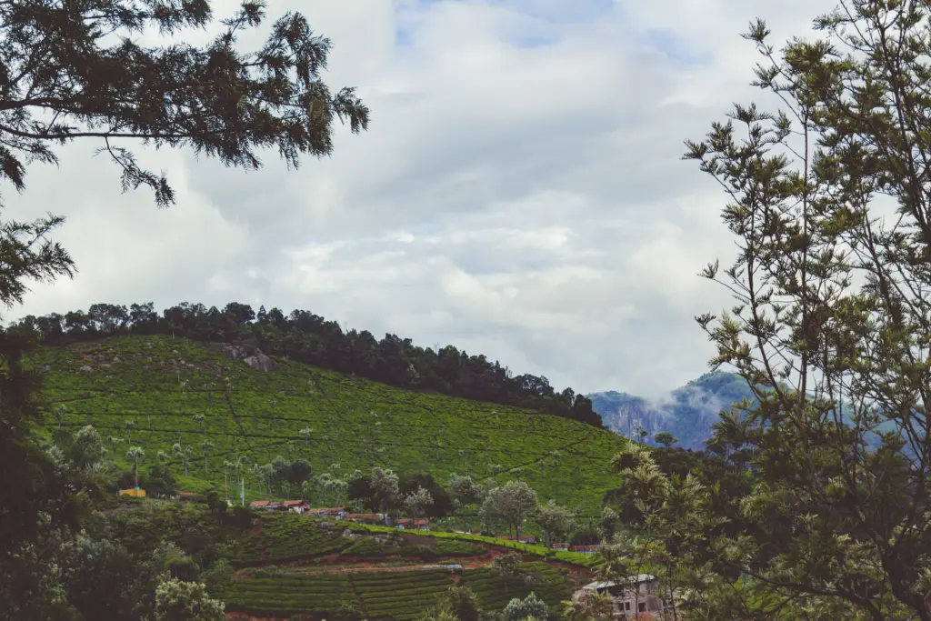 SSK Holidays - Valparai Tour Package