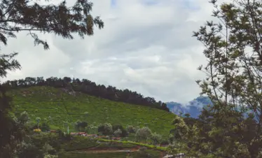 SSK Holidays - Valparai Tour Package