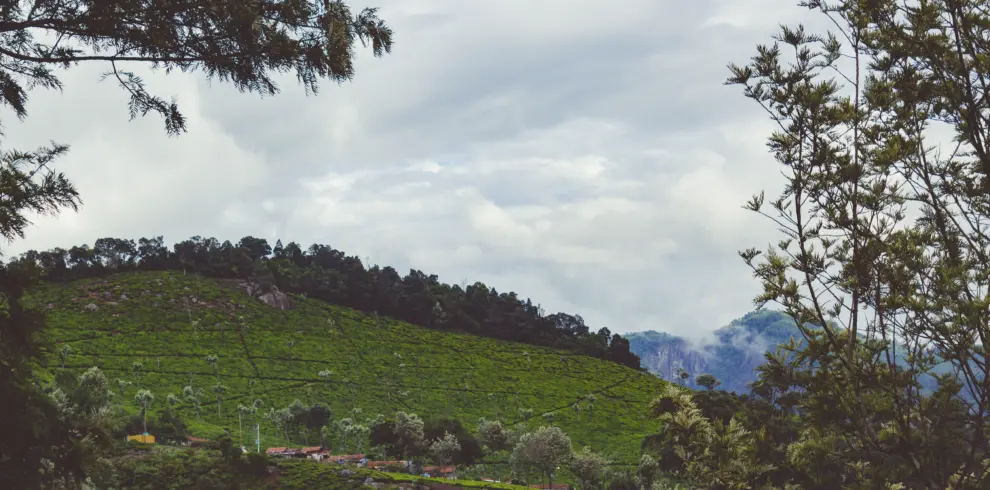 SSK Holidays - Valparai Tour Package