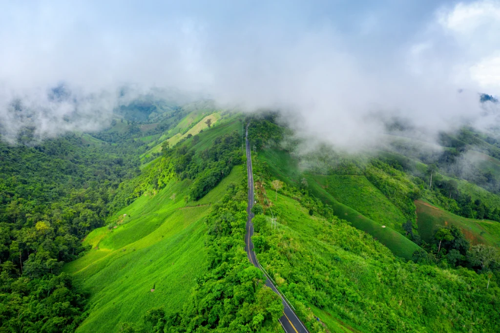 SSK Holidays Wayanad Packages
