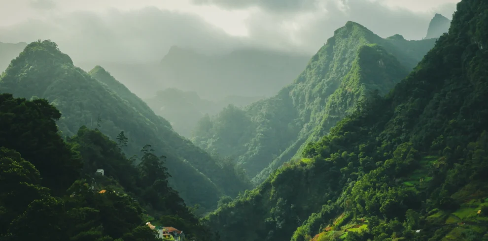 SSK Holidays Wayanad Packages