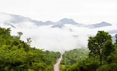 SSK Holidays Wayanad Packages