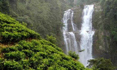 SSK Holidays Wayanad Packages