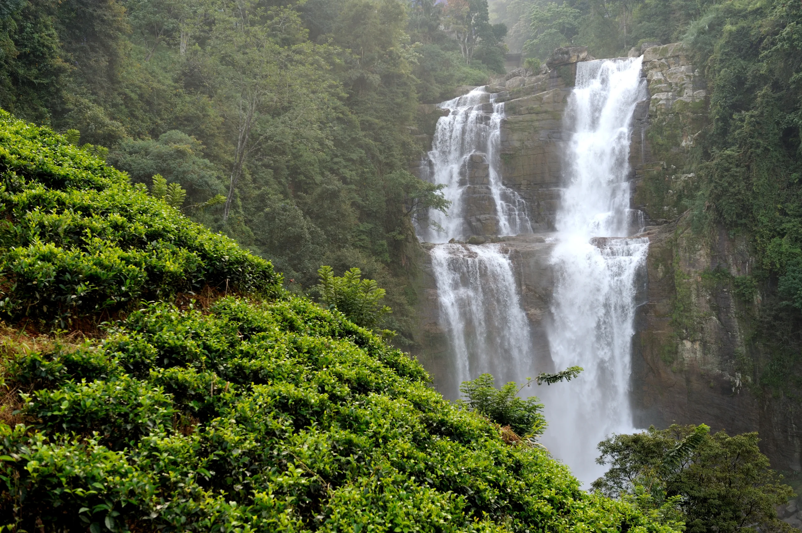 SSK Holidays Wayanad Packages