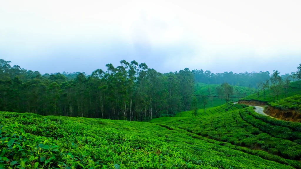 SSK-Holidays-Wayanad-Packages
