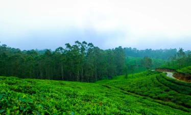 SSK-Holidays-Wayanad-Packages