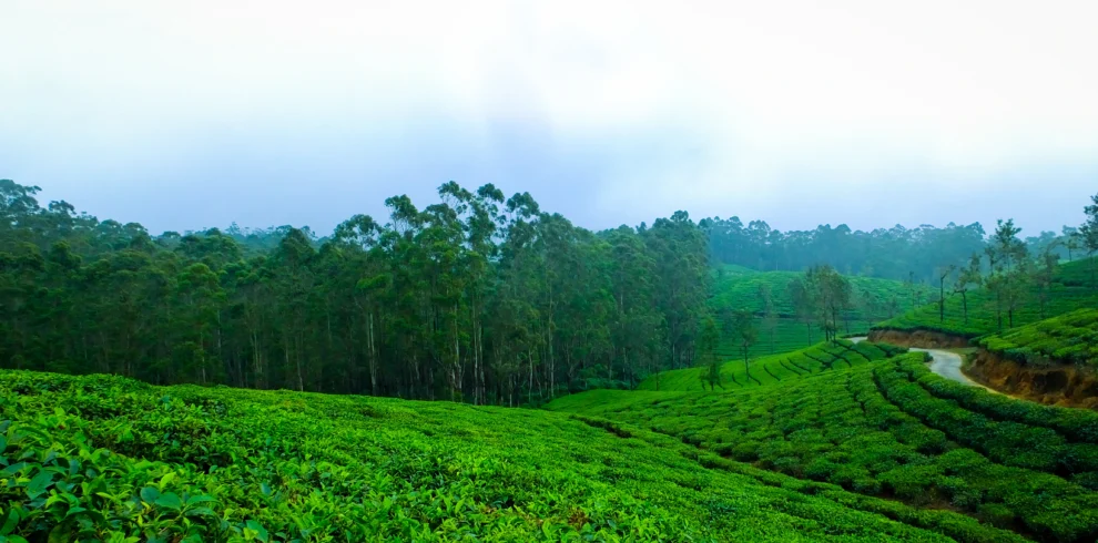 SSK-Holidays-Wayanad-Packages