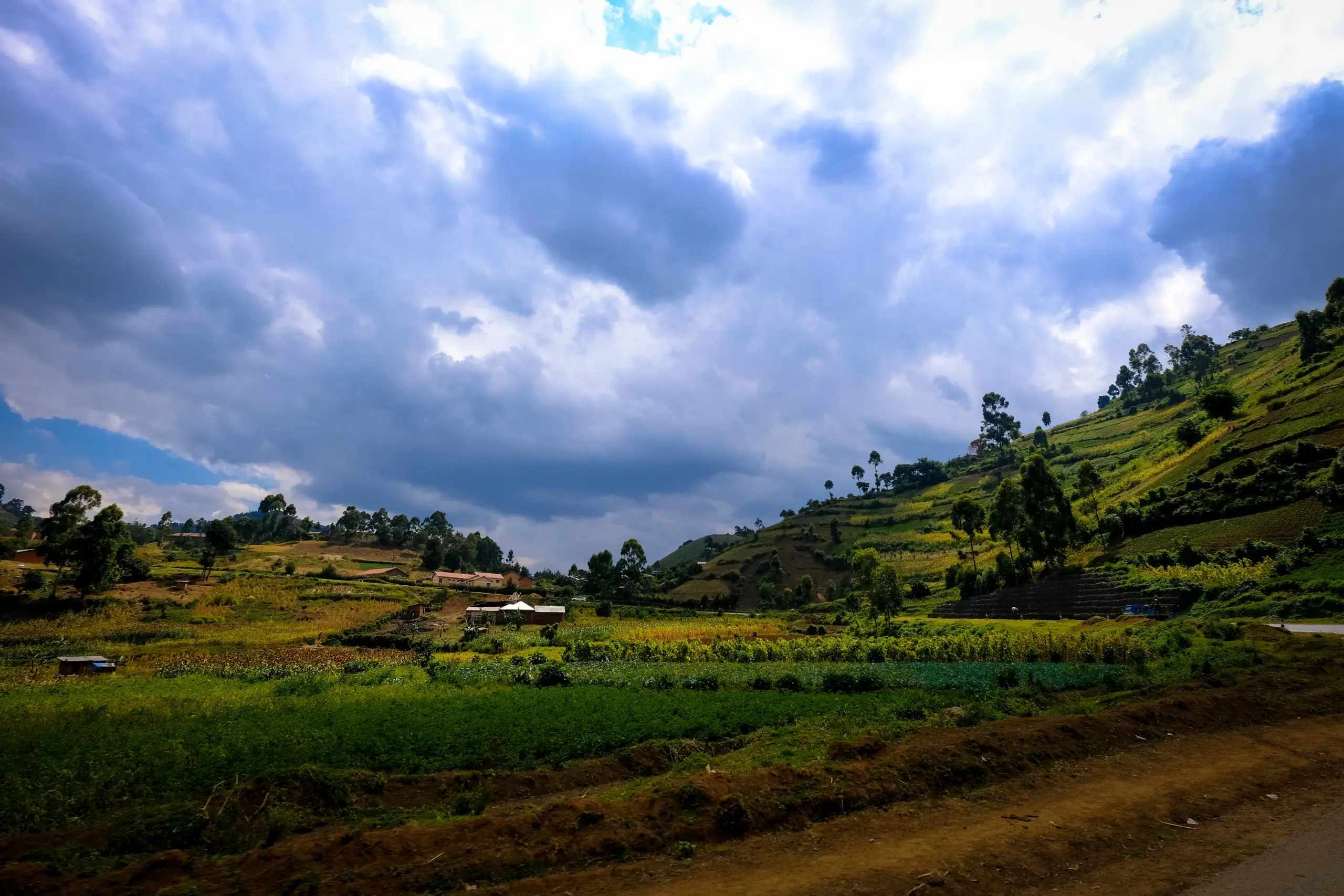 SSK-Holidays-Yelagiri-Tour-Package