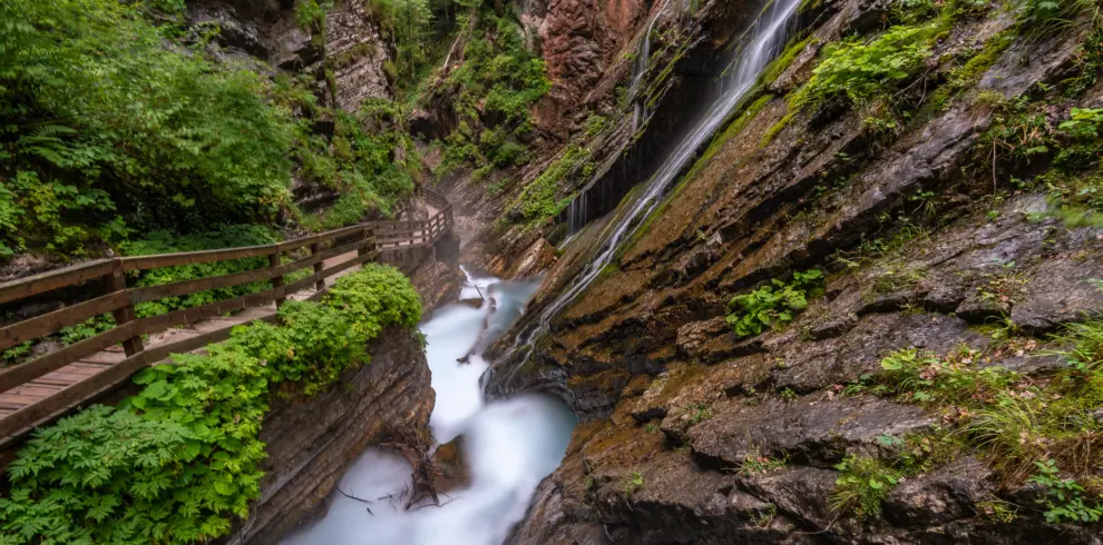 Yercaud Package - SSK Holidays