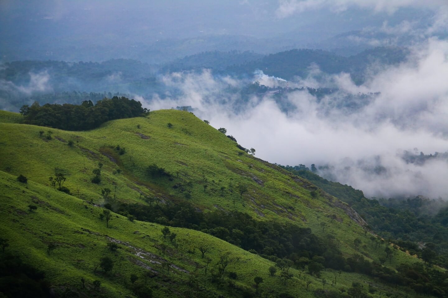 one day wayanad top places to visit header wayanad tourism.jpg