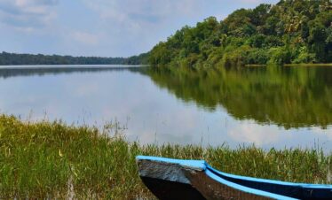 Kochi – Munnar – Thekkady – Alleppey