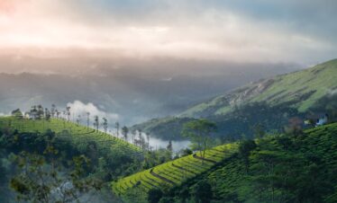 3 Nights 4 Days Kerala Tour Package – Kochi, Munnar & Thekkady