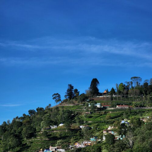 Ooty Package – 3 Nights / 4 Days