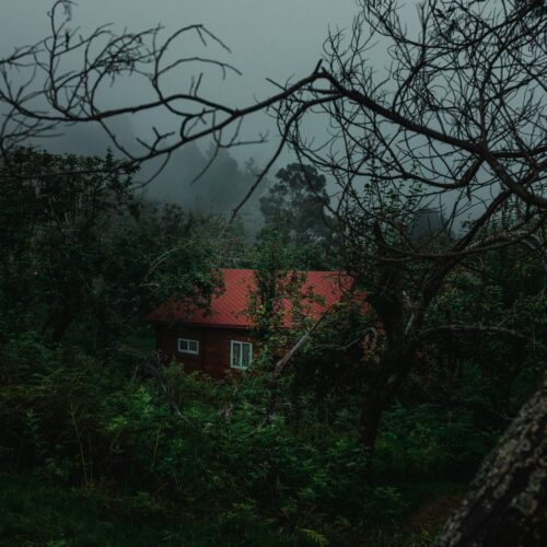 Kodaikanal Package – 3 Nights / 4 Days