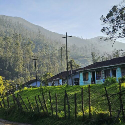 Ooty 3 Nights / 4 Days Tour Package