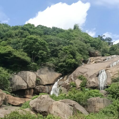 Yelagiri 1 Night / 2 Days Tour Package