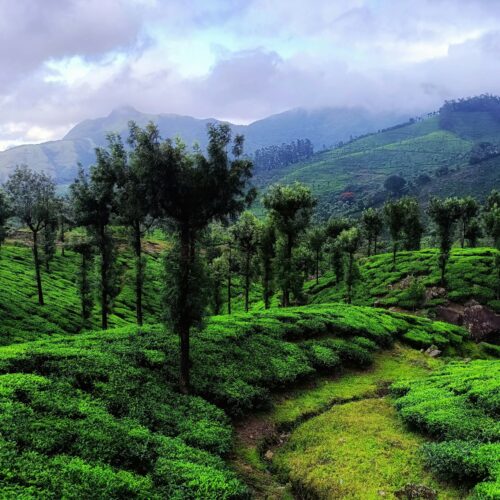 Valparai Package – 3 Nights / 4 Days