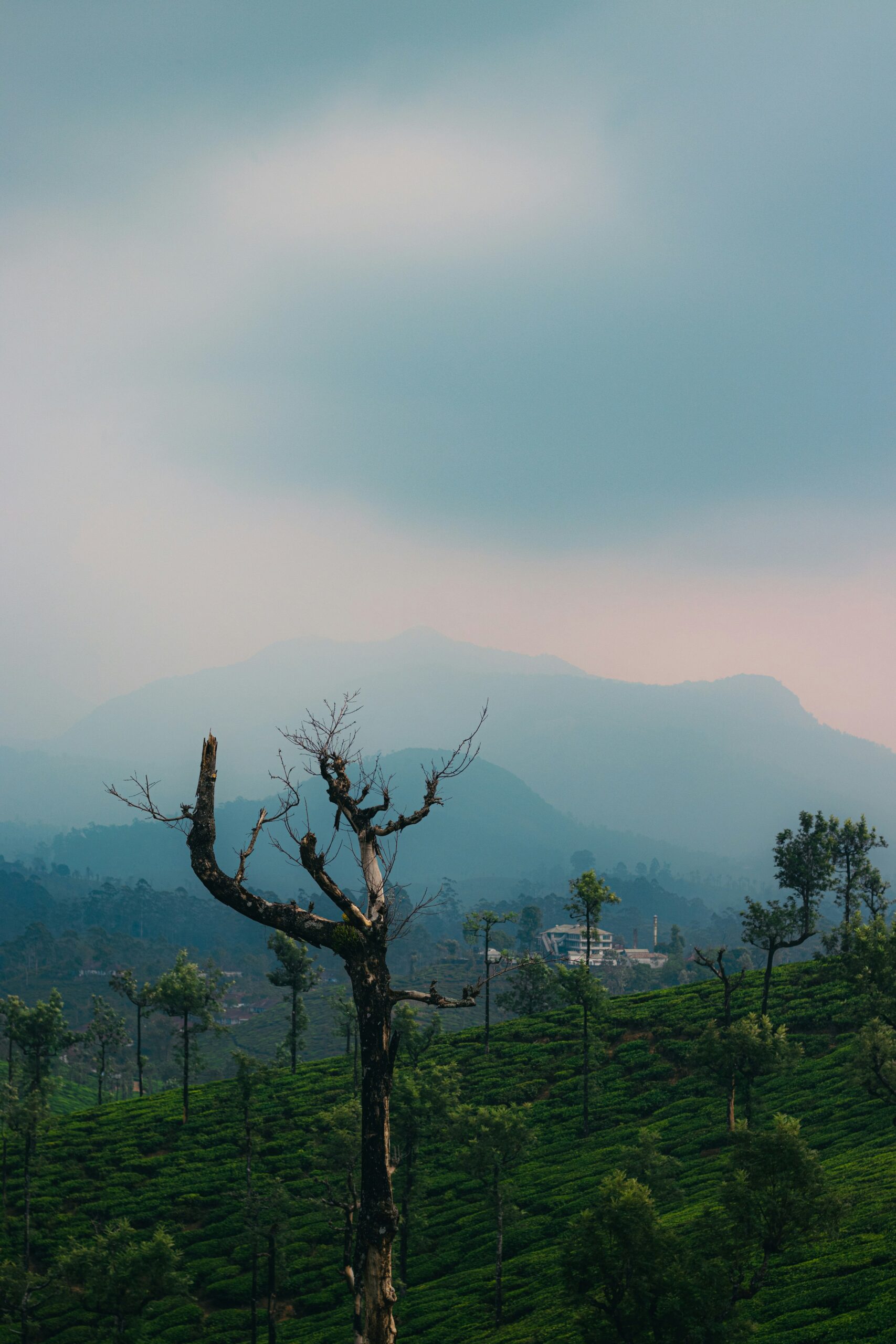 Valparai 1 Night / 2 Days Tour Package