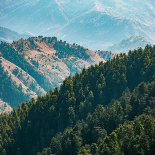 5 Nights / 6 Days Shimla & Manali Tour Package