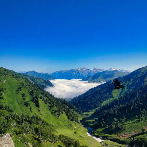 Srinagar & Gulmarg 2 Nights / 3 Days Tour Package