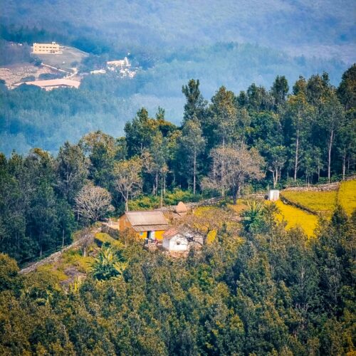 Yercaud 4 Nights / 5 Days Tour Package