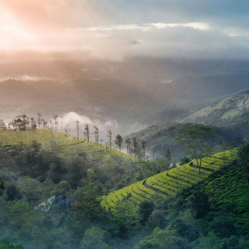 Valparai 4 Nights / 5 Days Tour Package