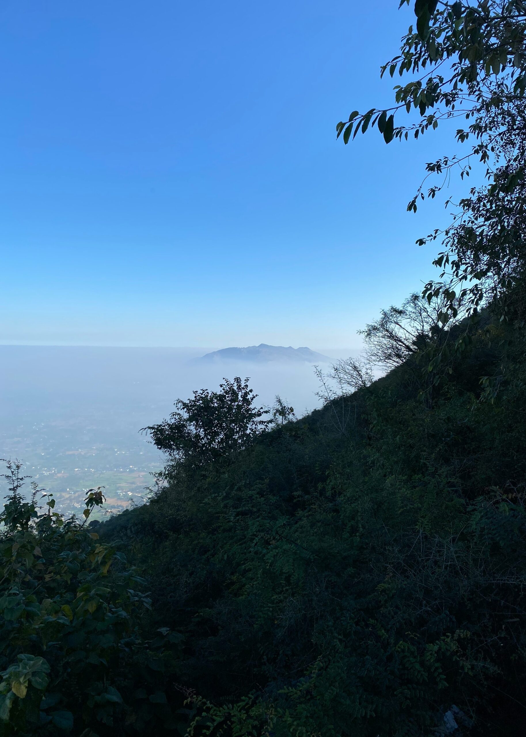 Yelagiri 4 Nights / 5 Days Tour Package