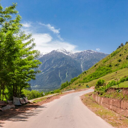 Srinagar 1 Night / 2 Days Tour Package