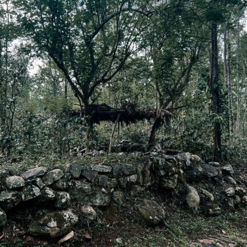 Yercaud 3 Nights / 4 Days Tour Package