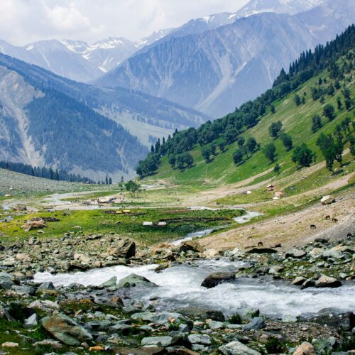 Jammu & Patnitop 3 Nights / 4 Days Tour Package